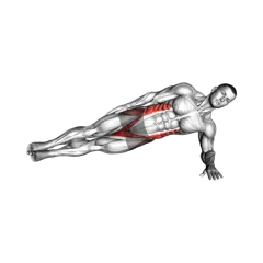 Week 4 exercise 1