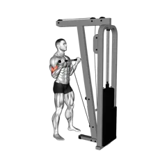 Week 3 exercise 6