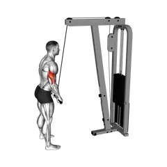Week 5 exercise 2
