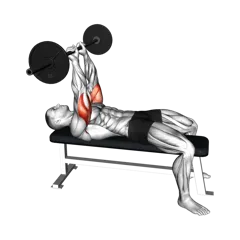 Week 1 exercise 2