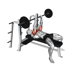 Week 1 exercise 3