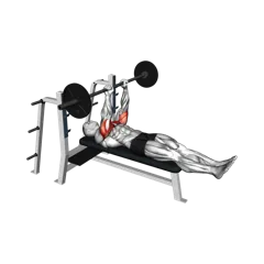 Week 1 exercise 1