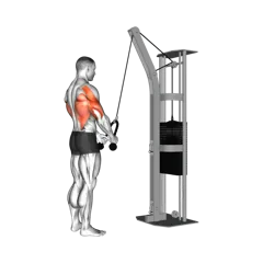 Week 2 exercise 5