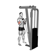 Week 5 exercise 1