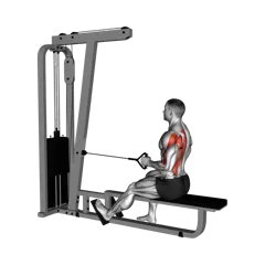 Week 4 exercise 2