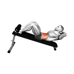 Week 5 exercise 1