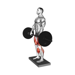 Week 2 exercise 1