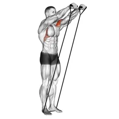 Week 3 exercise 2