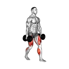 Week 4 exercise 1