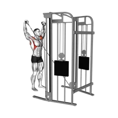 Week 1 exercise 4