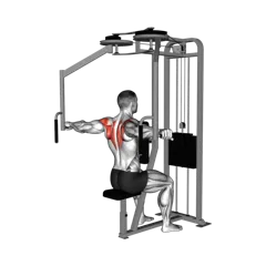 Week 5 exercise 6