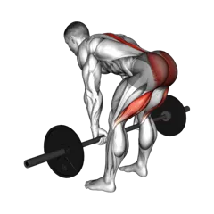 Week 5 exercise 4
