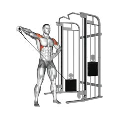 Week 1 exercise 1