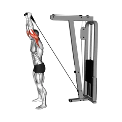 Week 2 exercise 1