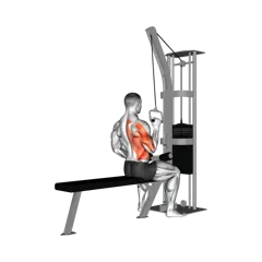 Week 4 exercise 5