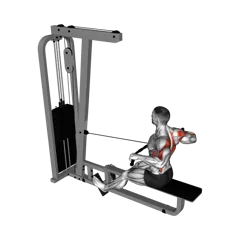 Week 2 exercise 2