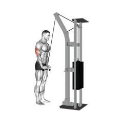 Week 1 exercise 2