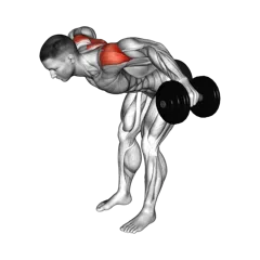 Week 4 exercise 5