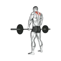 Week 3 exercise 2