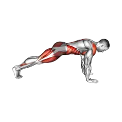 Week 4 exercise 2