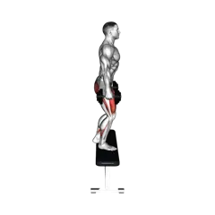 Week 3 exercise 2