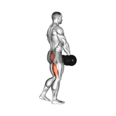 Week 2 exercise 1
