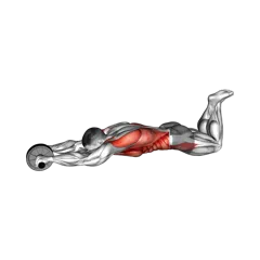 Week 1 exercise 1