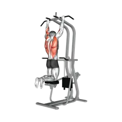 Week 1 exercise 2