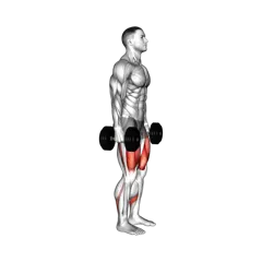 Week 4 exercise 5