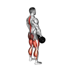 Week 2 exercise 4