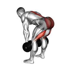 Week 5 exercise 6