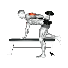 Week 5 exercise 1