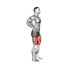 Week 3 exercise 1