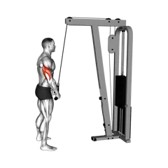Week 3 exercise 5