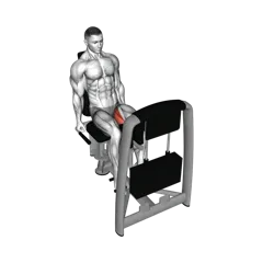 Week 5 exercise 5