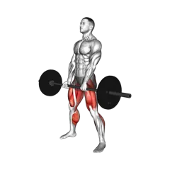 Week 1 exercise 3