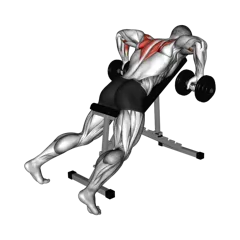 Week 3 exercise 2