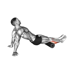 Week 1 exercise 1