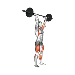 Week 2 exercise 2