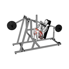 Week 2 exercise 3