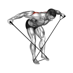 Week 4 exercise 2