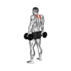 Week 5 exercise 2