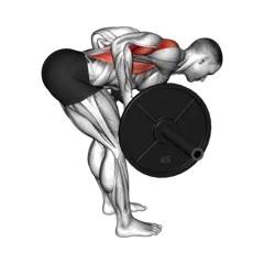 Week 4 exercise 5