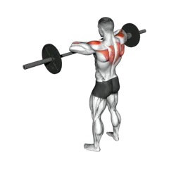 Week 3 exercise 3