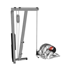 Week 4 exercise 1