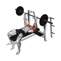 Week 4 exercise 1