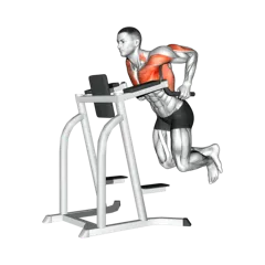 Week 2 exercise 2
