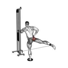 Week 3 exercise 3