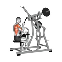 Week 3 exercise 2