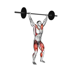 Week 1 exercise 1